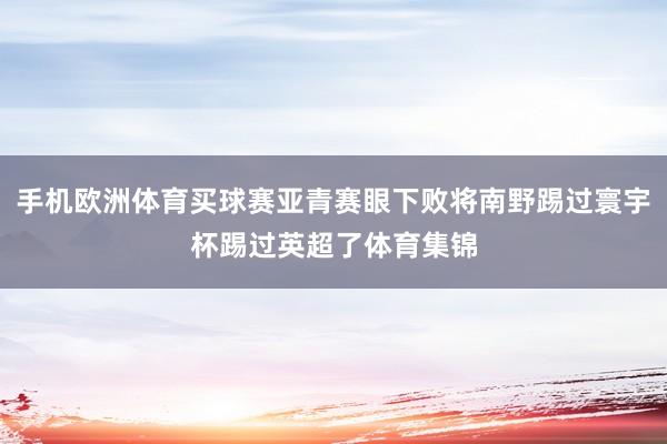 手机欧洲体育买球赛亚青赛眼下败将南野踢过寰宇杯踢过英超了体育集锦