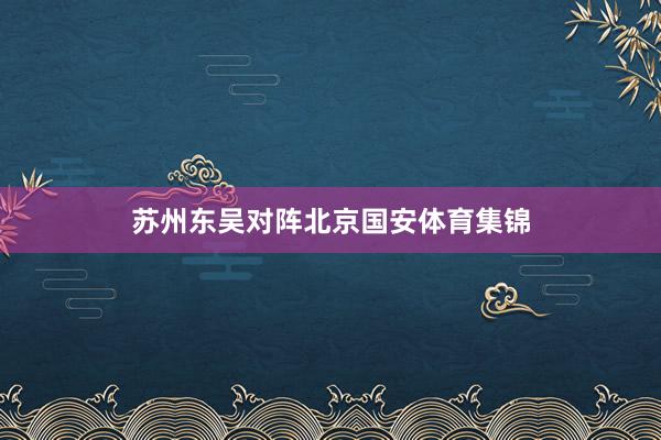 苏州东吴对阵北京国安体育集锦