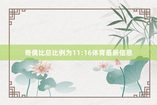 奇偶比总比例为11:16体育最新信息