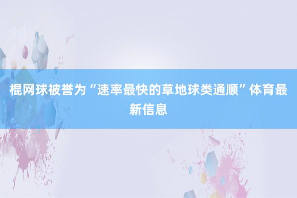 棍网球被誉为“速率最快的草地球类通顺”体育最新信息