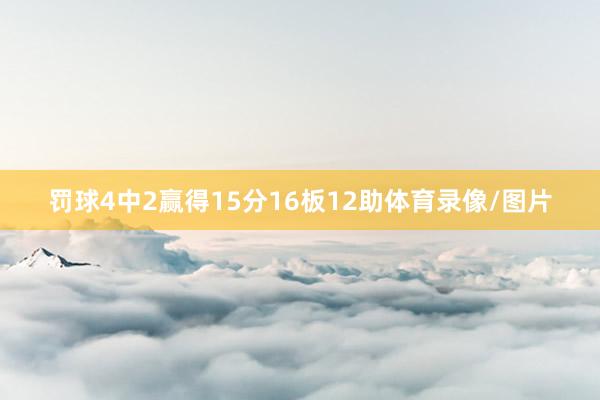 罚球4中2赢得15分16板12助体育录像/图片