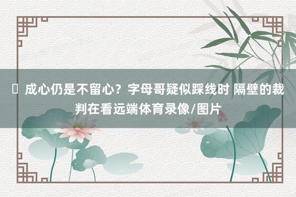 ❓成心仍是不留心？字母哥疑似踩线时 隔壁的裁判在看远端体育录像/图片