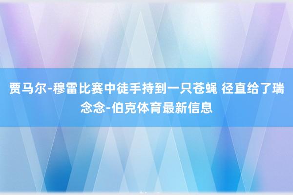 贾马尔-穆雷比赛中徒手持到一只苍蝇 径直给了瑞念念-伯克体育最新信息