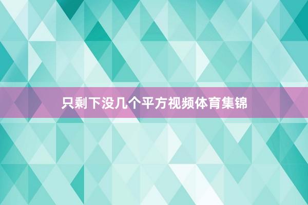 只剩下没几个平方视频体育集锦