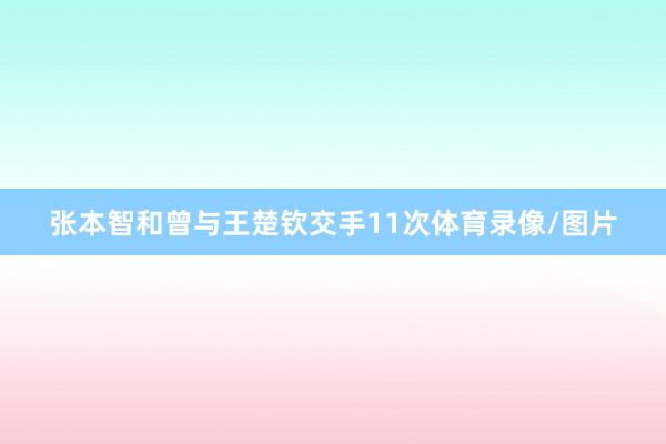 张本智和曾与王楚钦交手11次体育录像/图片