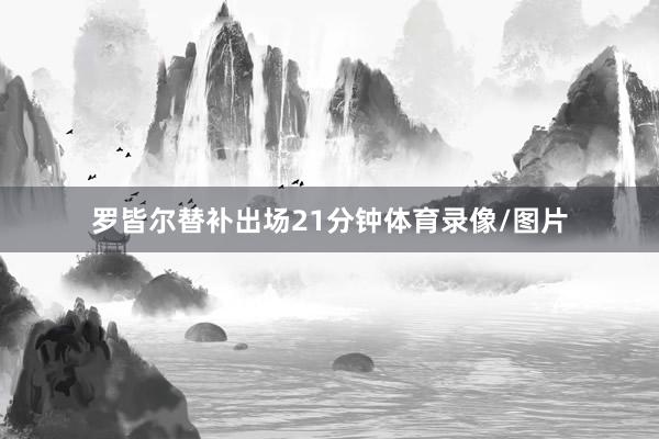 罗皆尔替补出场21分钟体育录像/图片