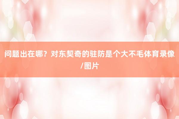 问题出在哪？对东契奇的驻防是个大不毛体育录像/图片