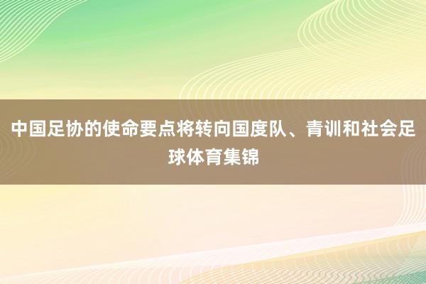 中国足协的使命要点将转向国度队、青训和社会足球体育集锦