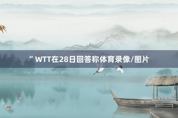 ”WTT在28日回答称体育录像/图片