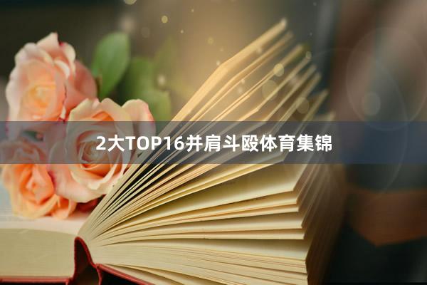 2大TOP16并肩斗殴体育集锦