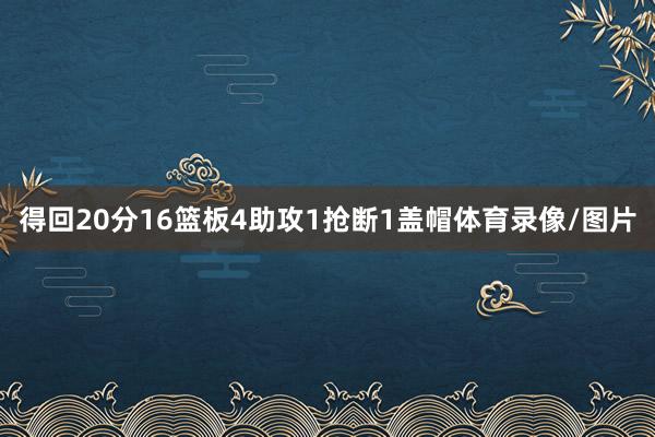 得回20分16篮板4助攻1抢断1盖帽体育录像/图片