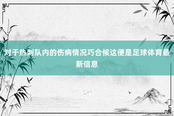 对于热刺队内的伤病情况巧合候这便是足球体育最新信息