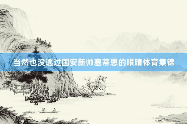 当然也没逃过国安新帅塞蒂恩的眼睛体育集锦